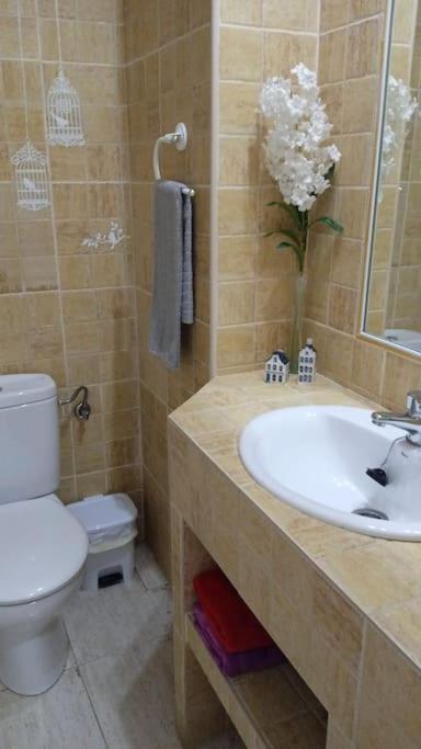 Bonito apartamento jv36 Apartamento Córdoba Exterior foto